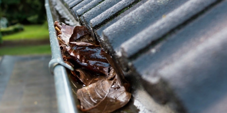 unblock gutters Shildon