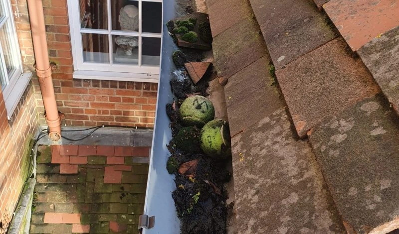 Gutters filled with moss, tiles and tennis balls