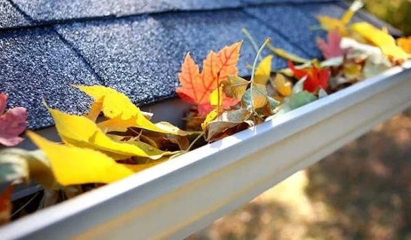 leaves in a gutter