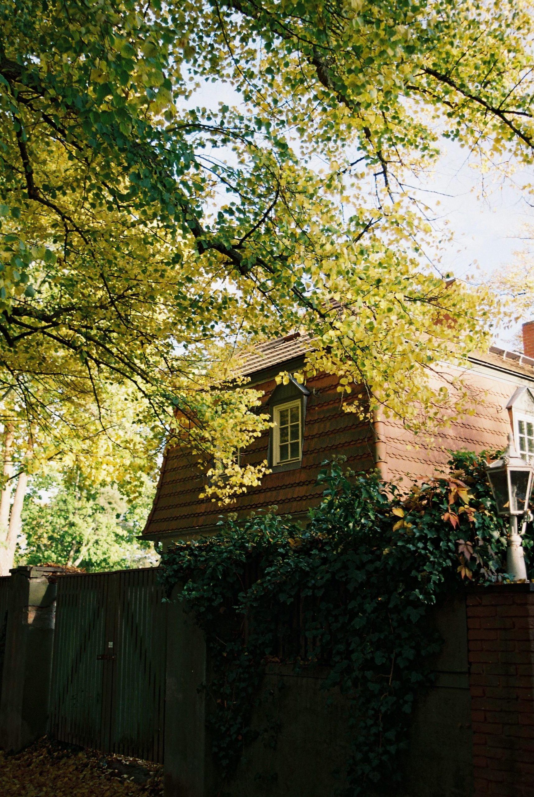 English home in with trees in the foreground