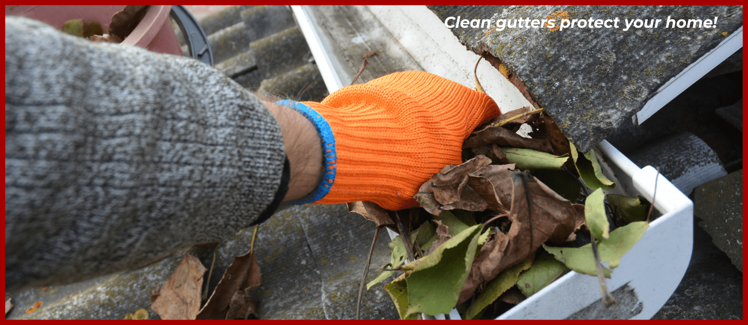 hand taking leaves out of messy gutters