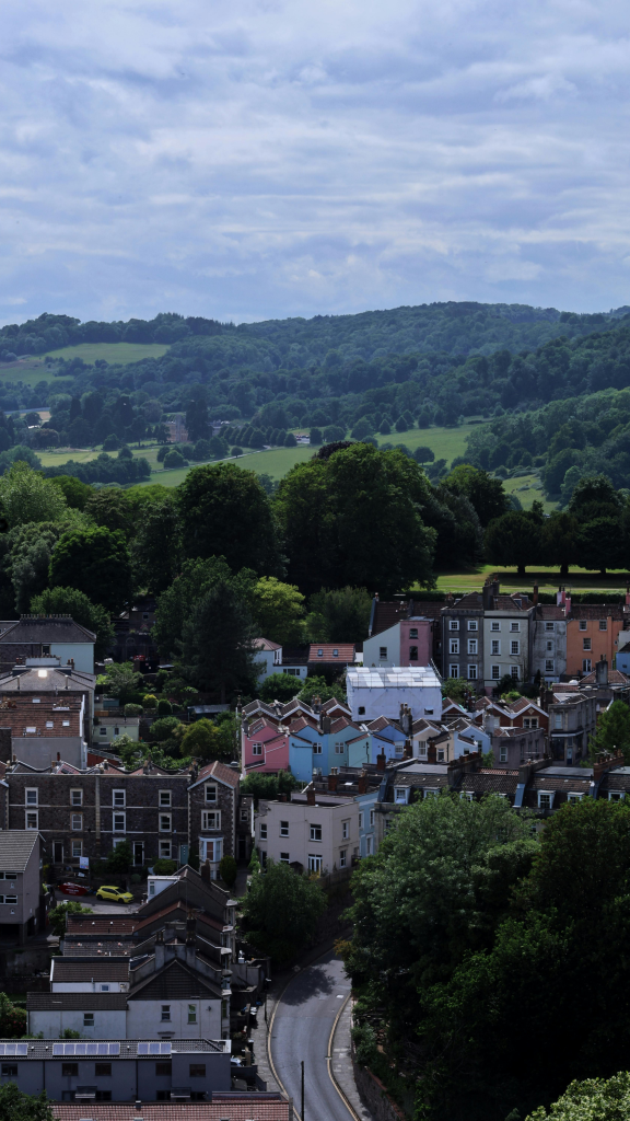 homes in bristol with trees
