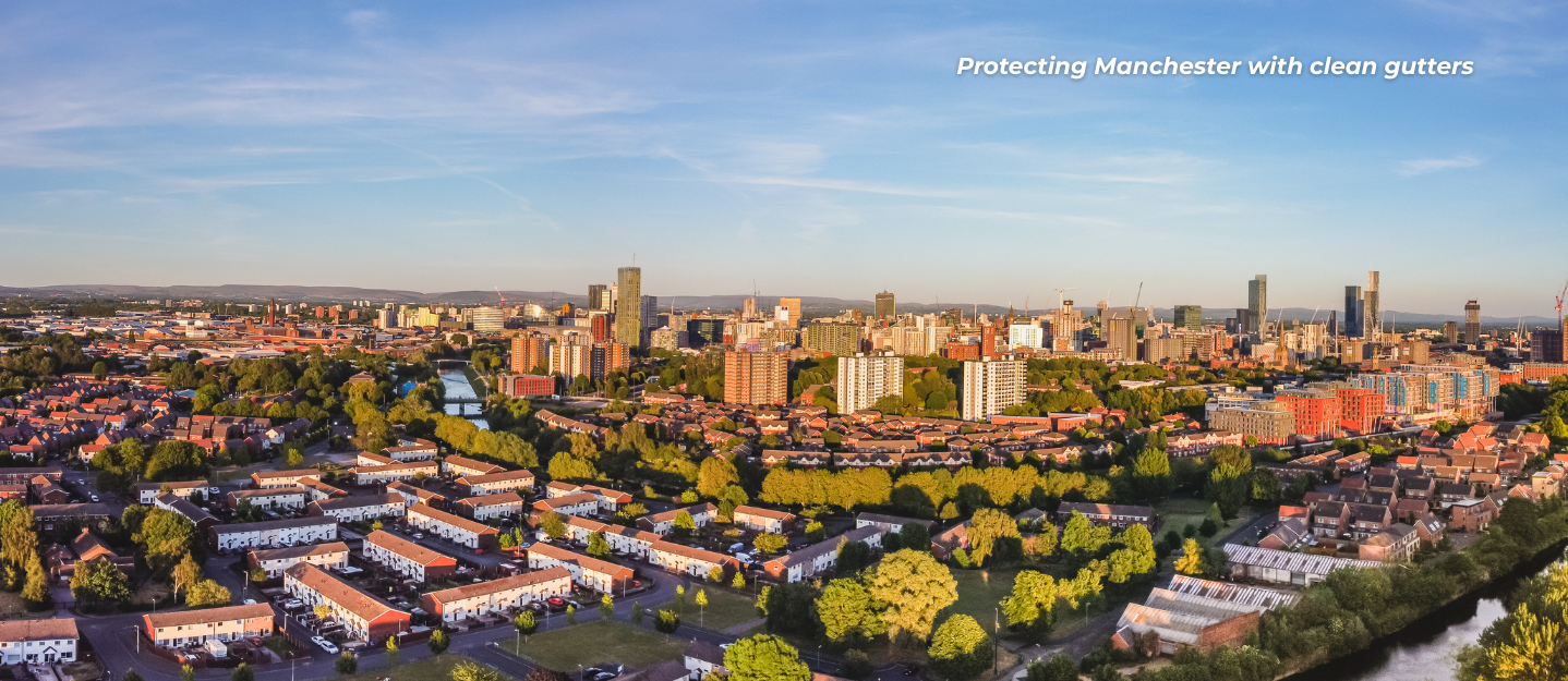 overview of manchester