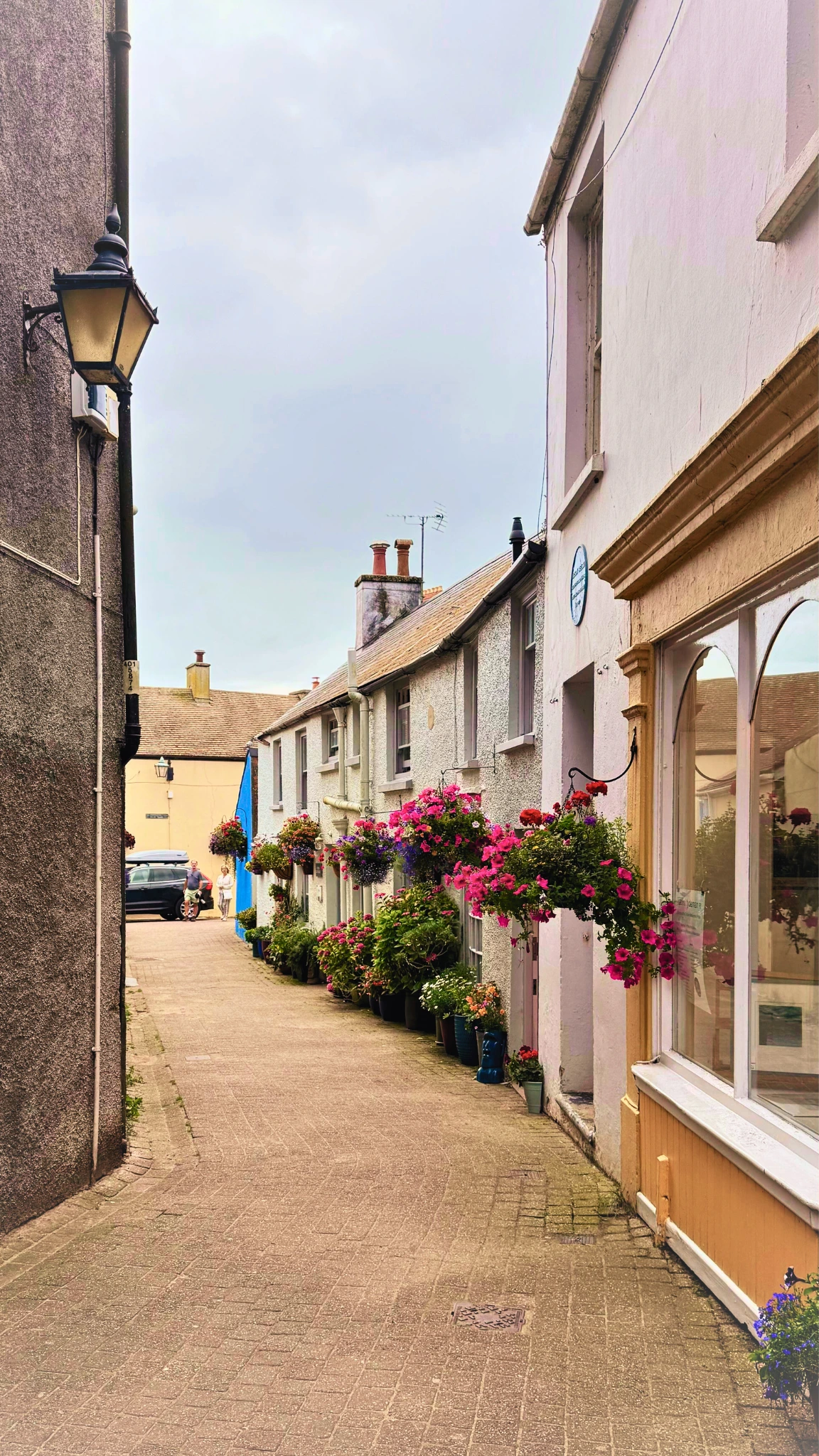 Cardiff residential street where guttering shows the need to maintain