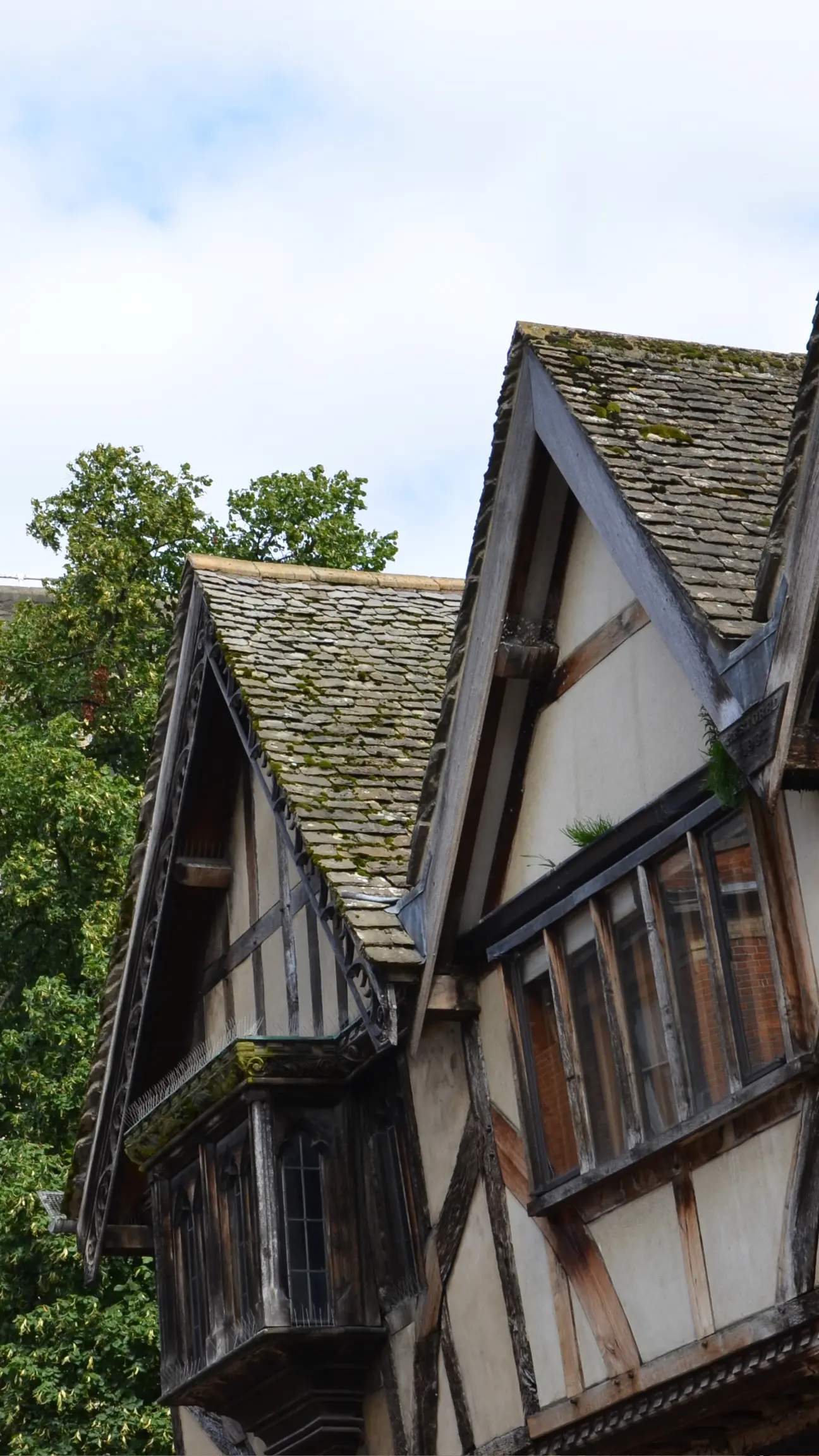 An Oxford roof portrait to provide context of a typical gutter cleaners duty within the area.