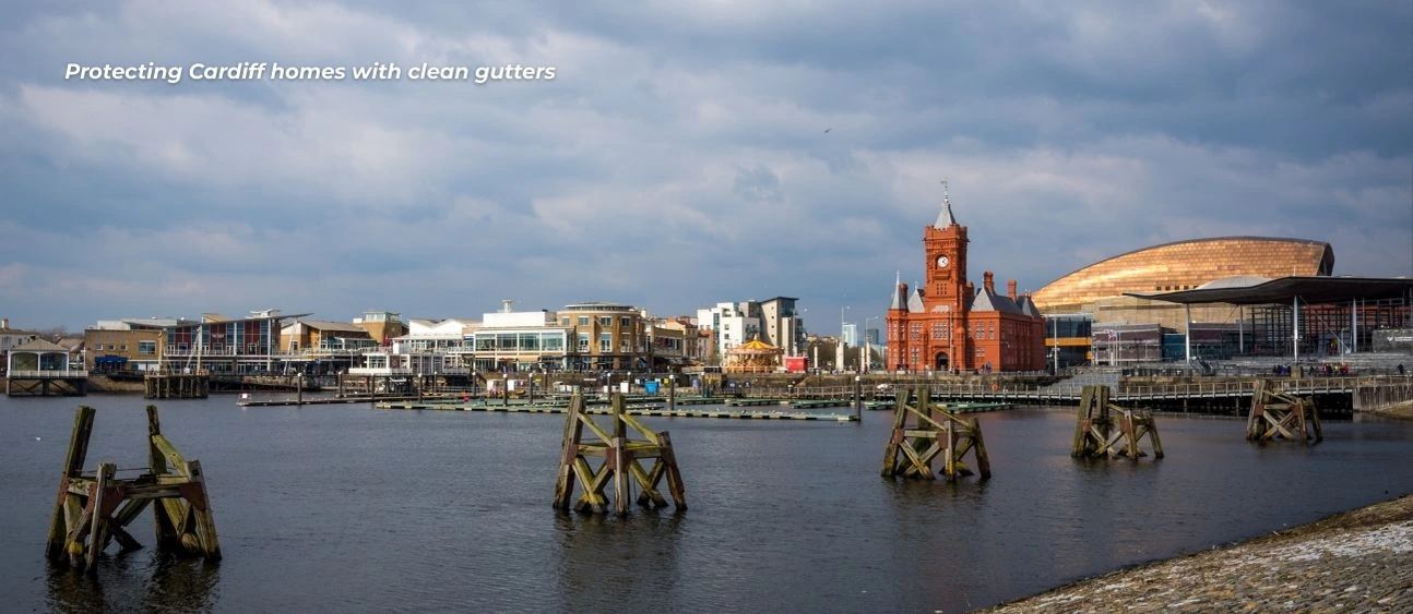 A landscape of one of whales coastal piers, a general surrounding giving context of this blogs location specification.
