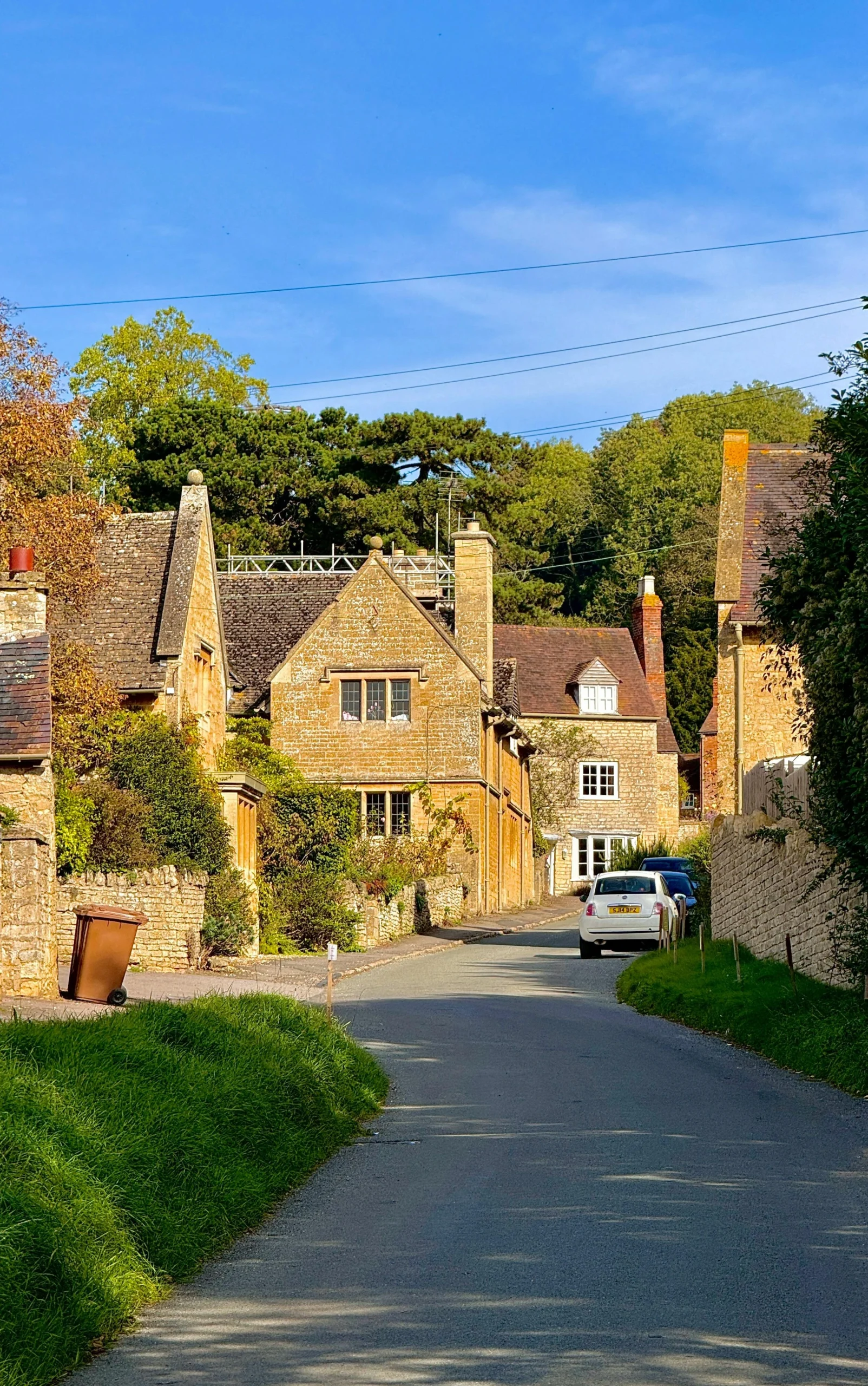 A typical resident in the midlands, the purpose is to provide context on what gutter cleaners are commonly dealing with in the area.