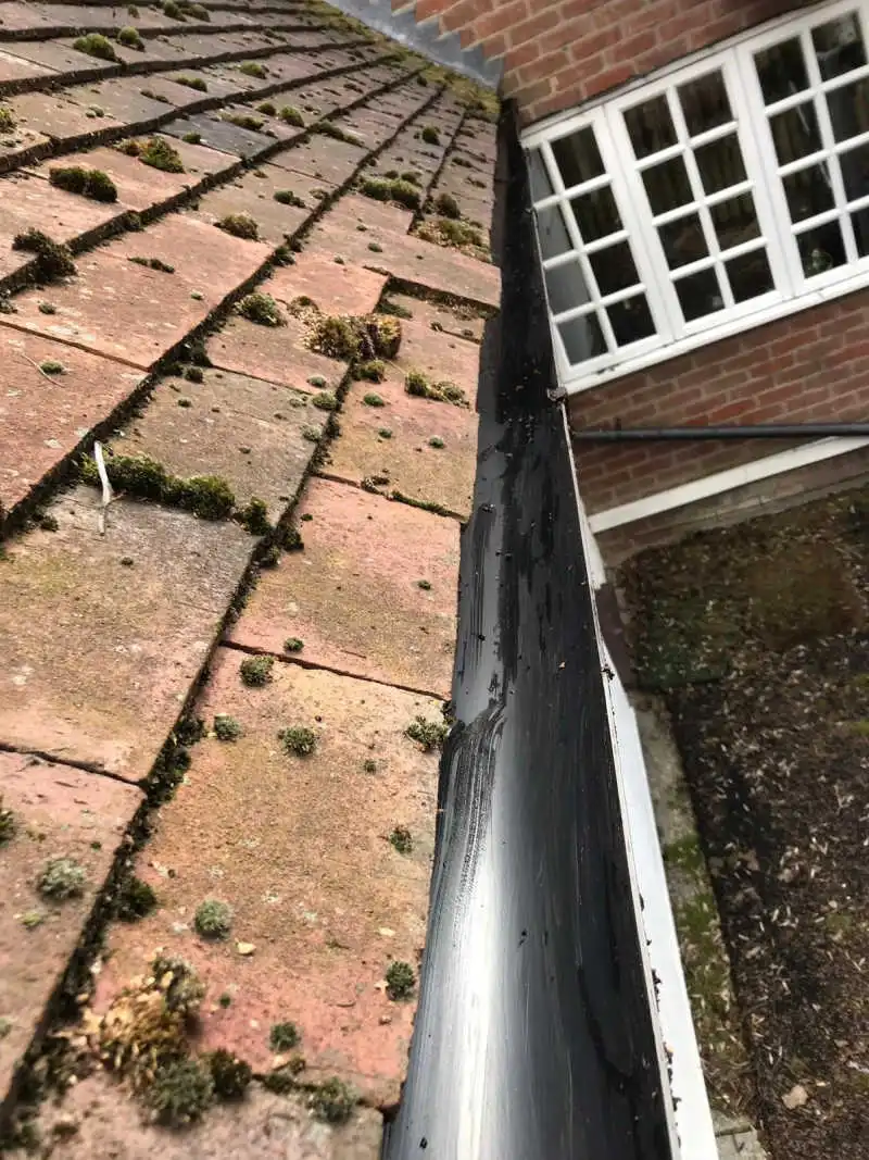 after gutter cleaning photo